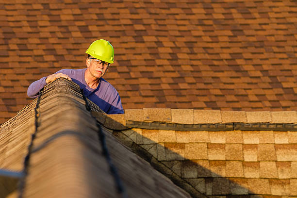 Roof Gutter Cleaning in Braselton, GA